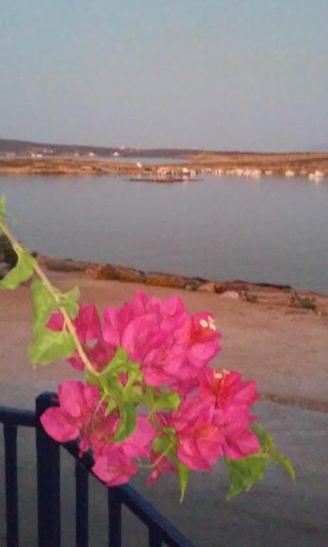 Готель Bocamviglies By The Sea Науса Екстер'єр фото